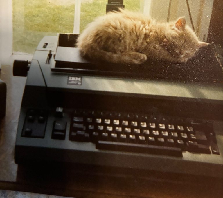 Kitten sleeping on our word processor in 1978.