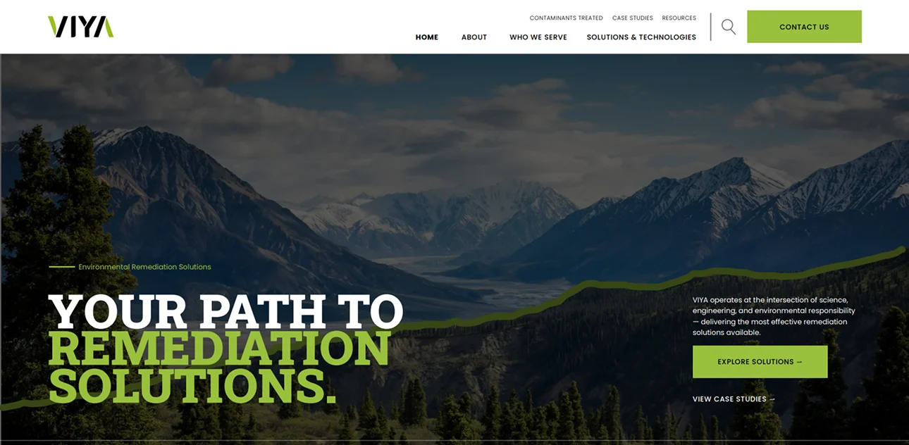 Viya Website Portfolio